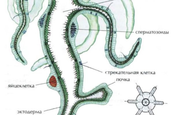 Кракен даркнет зайти