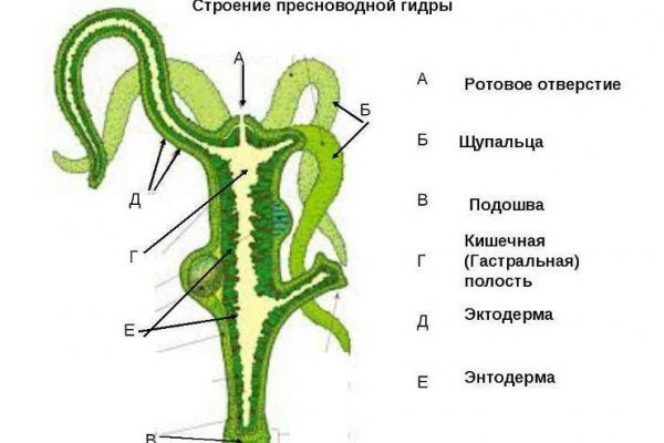 Кракен сайт биз