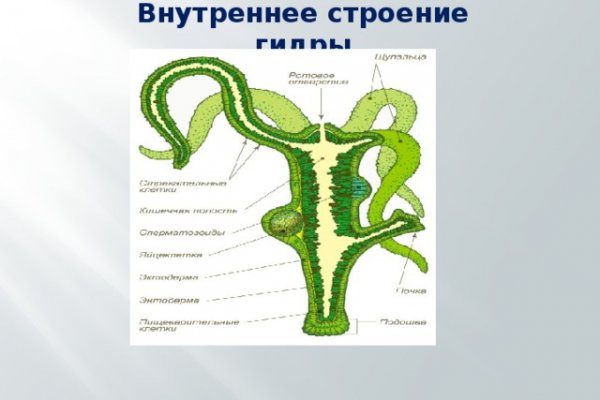 Кракен даркшоп