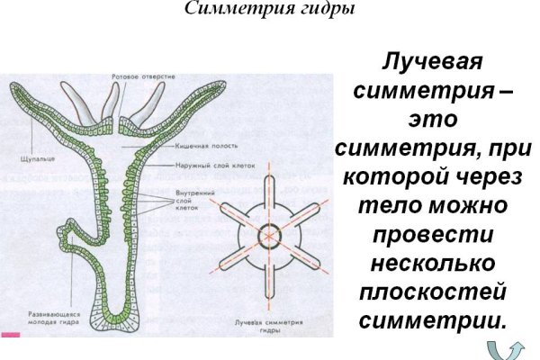 Кракен оренбург официальный сайт